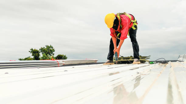 Best Skylight Installation and Repair  in Franklin Rk, PA